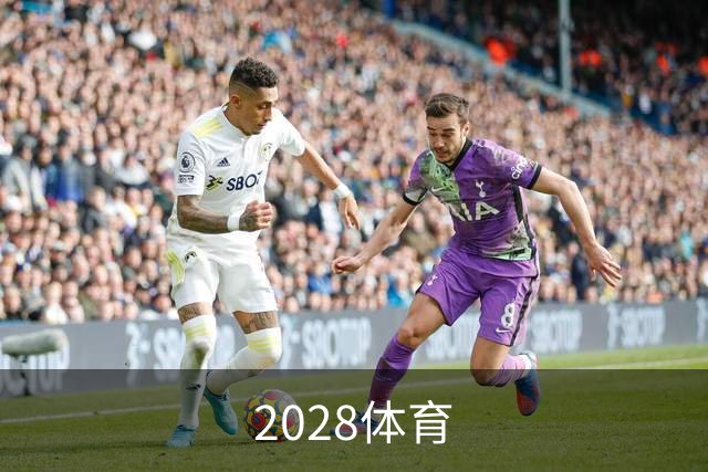 2028体育公司介绍图